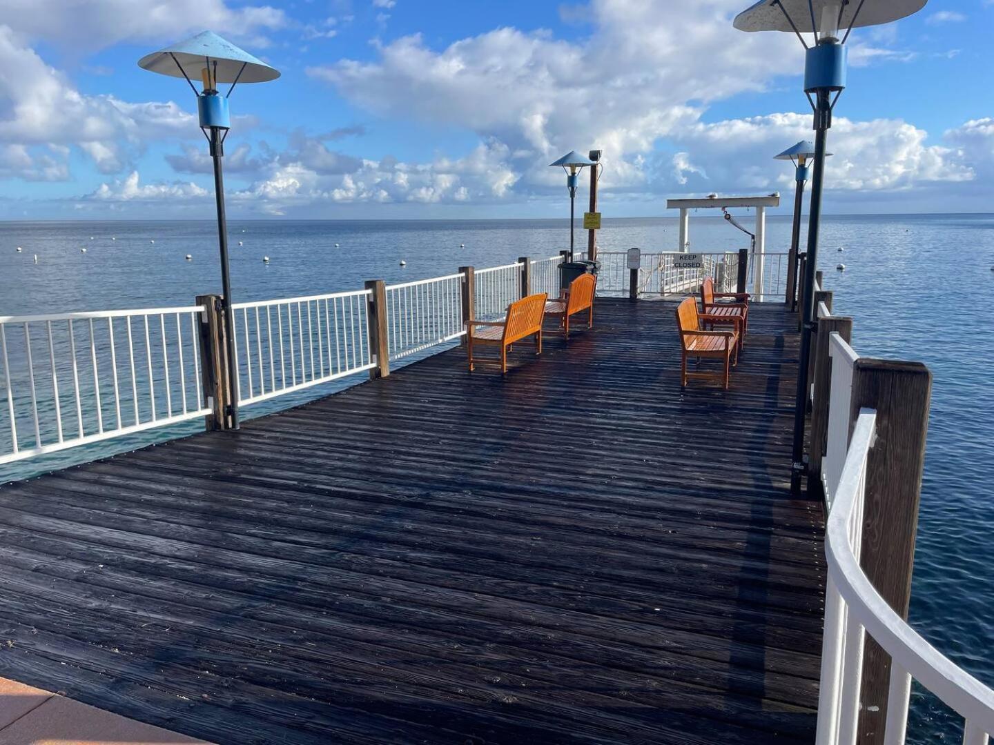 Catalina Island Getaway With 6 Seat Golf Cart Ac Διαμέρισμα Avalon Εξωτερικό φωτογραφία